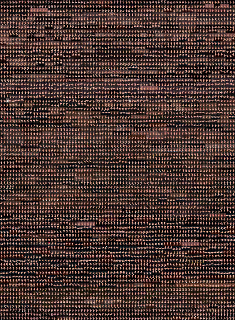 Thumbnail for Ground Truth